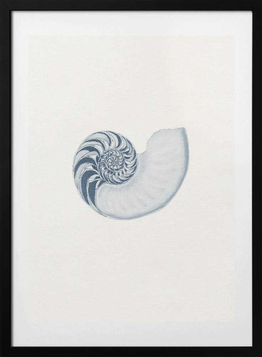 Blue Nautilus Spiral - Art Print by Wild Violets