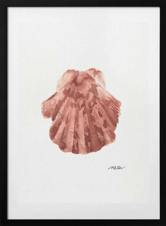 Pink Scallop Seashell - Art Print by NKTN