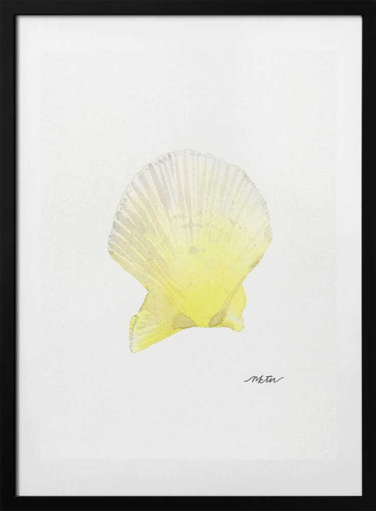Sunny Scallop Shell - Art Print by NKTN