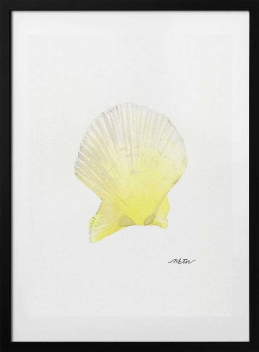 Sunny Scallop Shell - Art Print by NKTN