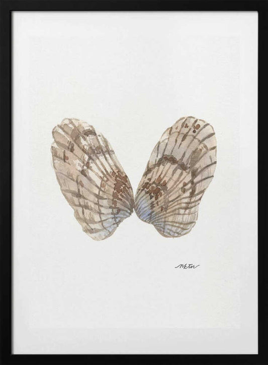 Watercolor Oyster Shells - Art Print by NKTN