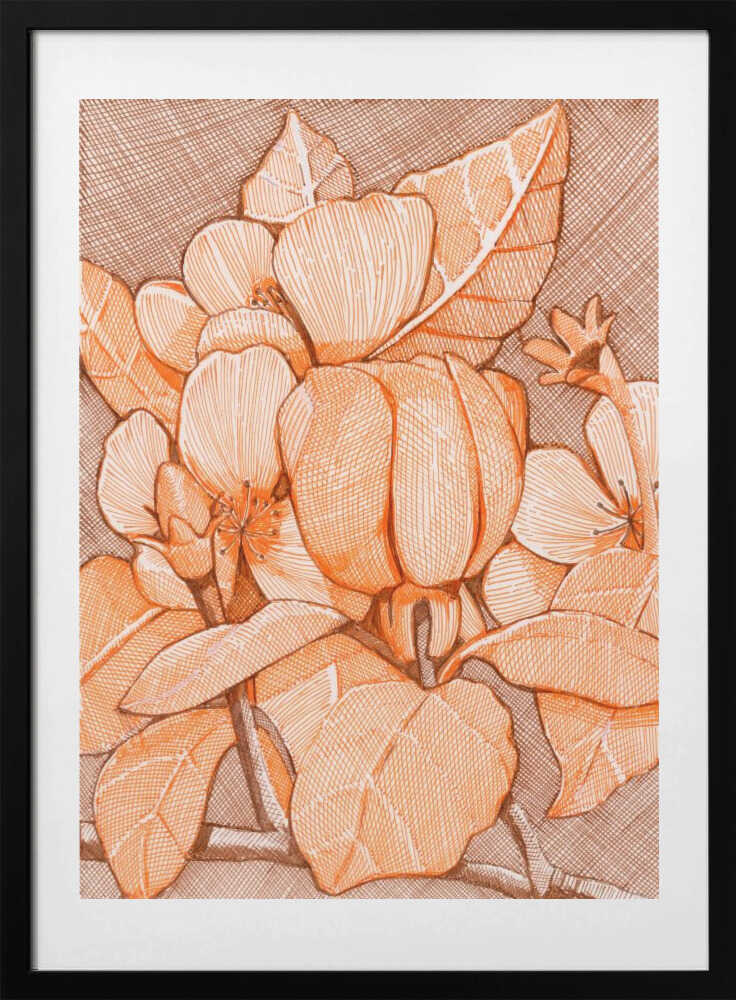 Hatched Orange Blossoms - Art Print by Katie O'Shea