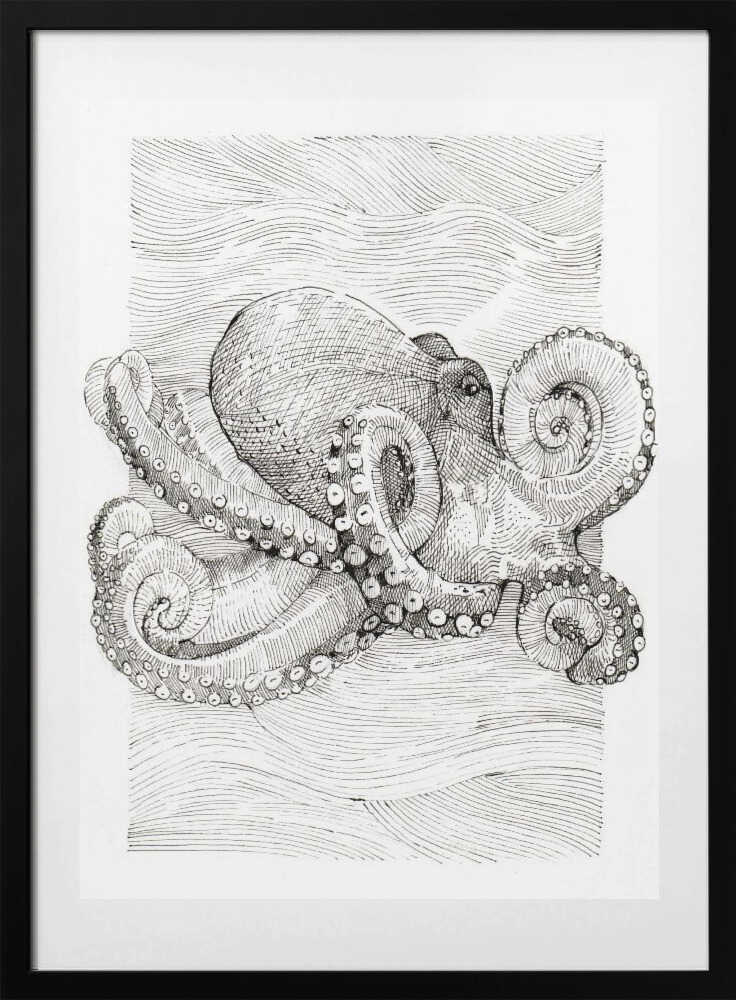 Black and White Octopus Line Drawing - Art Print by Katie O'Shea