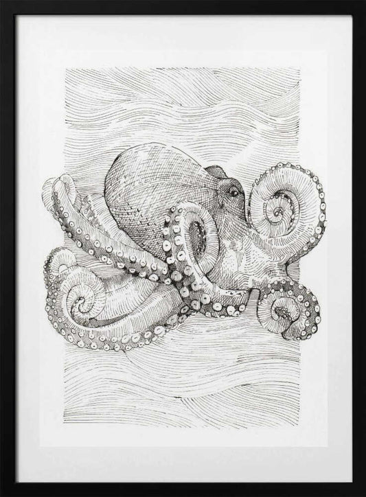 Black and White Octopus Line Drawing - Art Print by Katie O'Shea