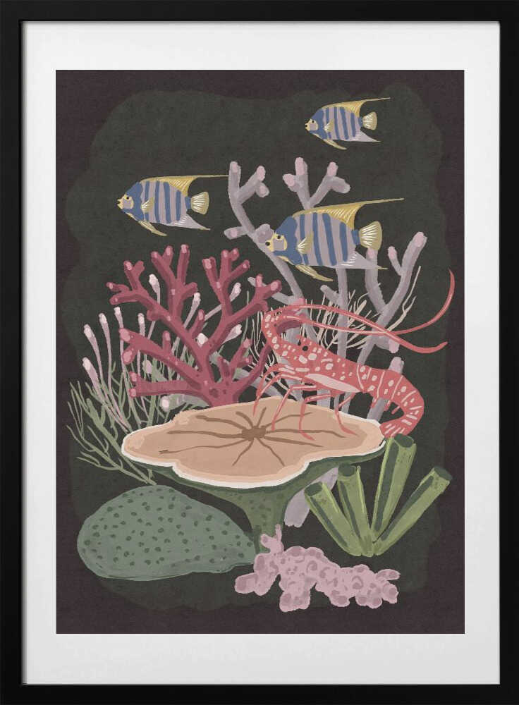 Spiny Lobster Coral Reef - Art Print by Nicholas