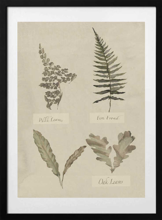 Botanical Leaf Study - Art Print by cartissi