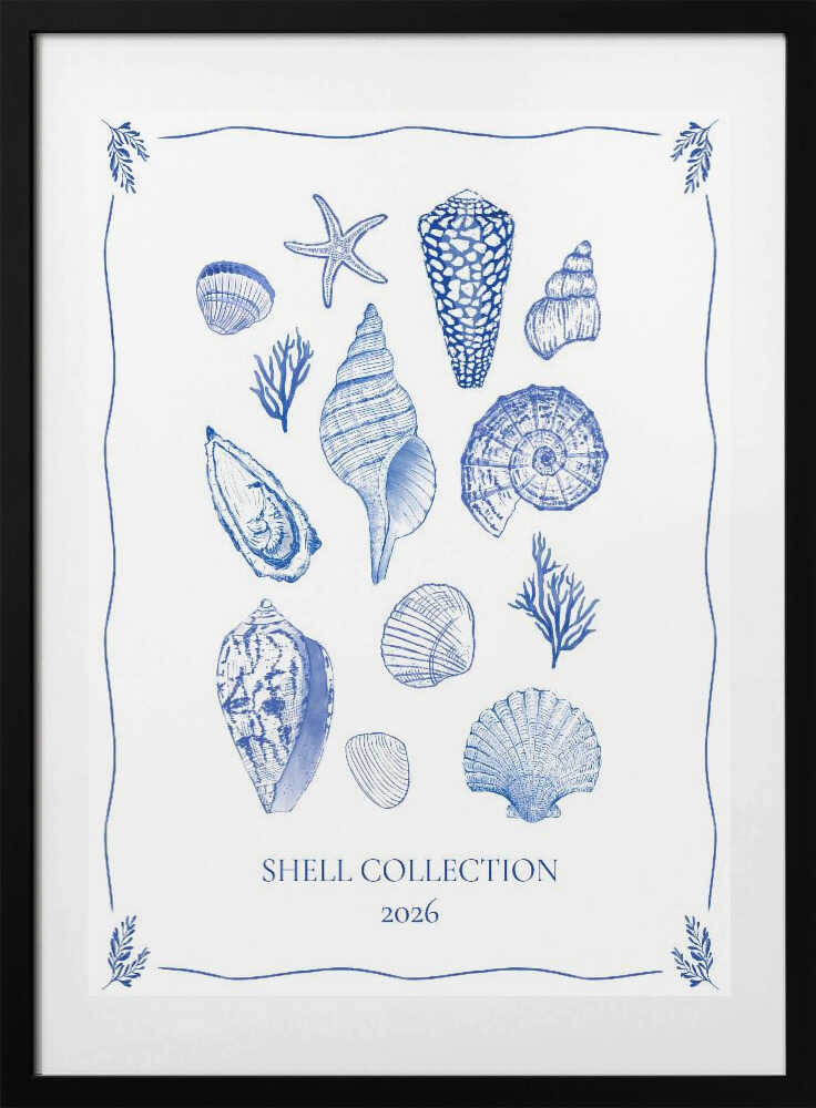 Coastal Shells Gathering - Art Print by Donaugh Austin