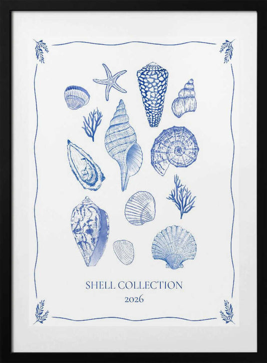 Coastal Shells Gathering - Art Print by Donaugh Austin