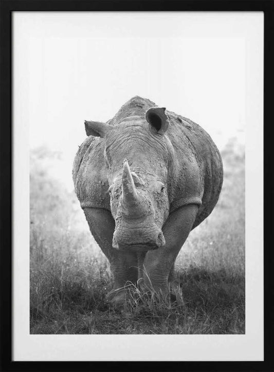 Powerful Rhino Portrait - Art Print by Benjamin Saunders