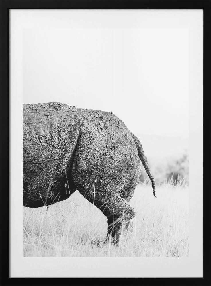 Textured Rhino Back - Art Print by Benjamin Saunders