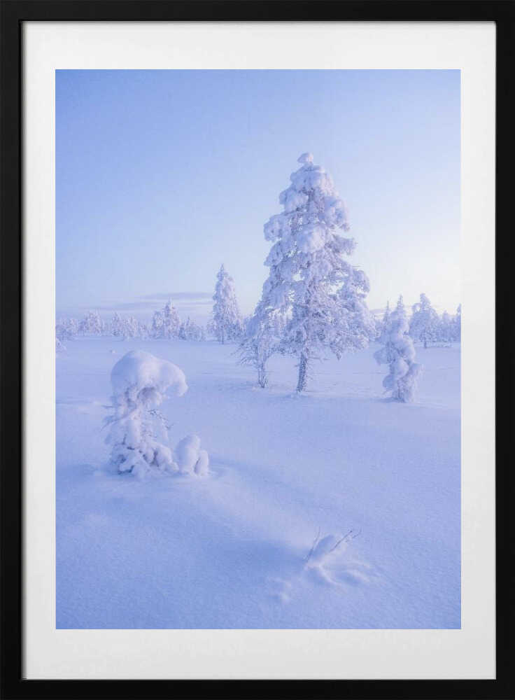 Ethereal Winter Morning - Art Print by Julien Pröpper