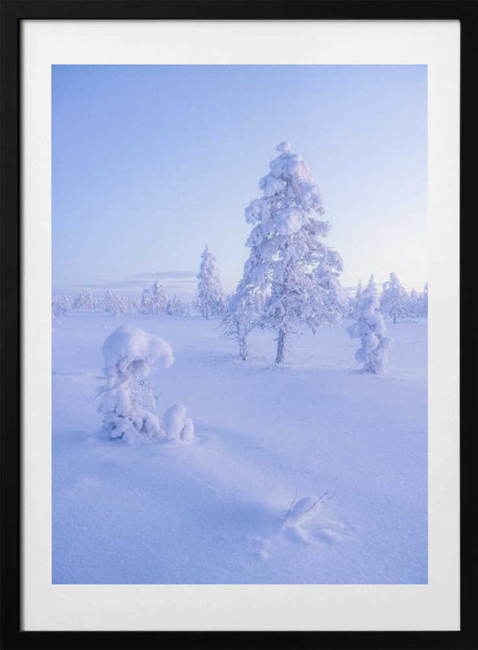 Ethereal Winter Morning - Art Print by Julien Pröpper