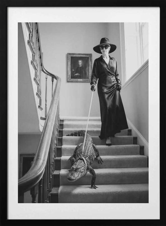 Elegant Alligator Staircase - Art Print by Andreas Magnusson
