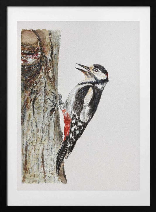 Spotted Woodpecker Perched - Art Print by Marina Kozyr