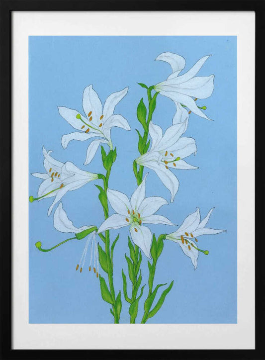 Elegant White Lilies - Art Print by Viktoriia Saunina