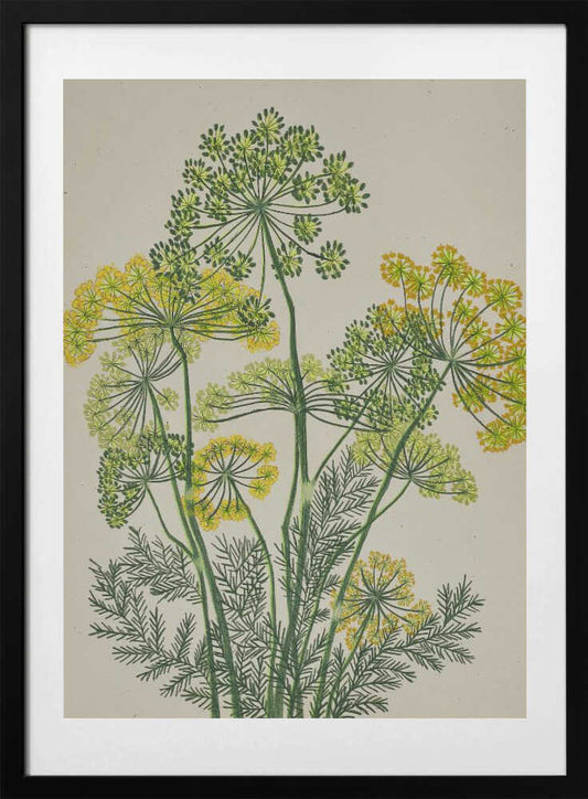 Fresh Yellow Dill - Art Print by Viktoriia Saunina