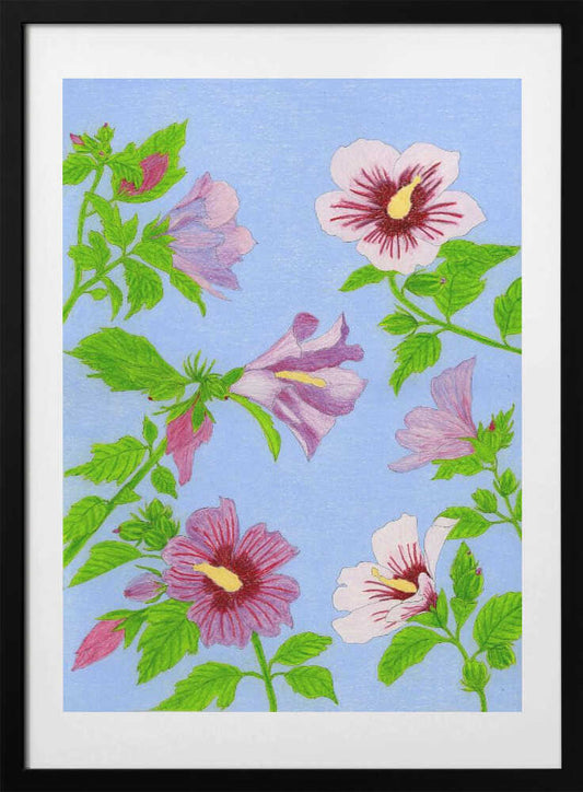 Blooming Hibiscus Flowers - Art Print by Viktoriia Saunina