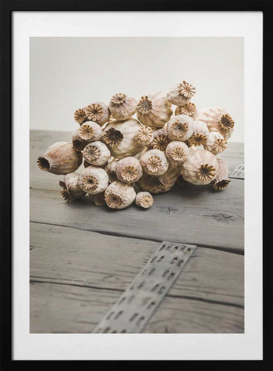 Rustic Poppy Pods - Art Print by Mayra Pama