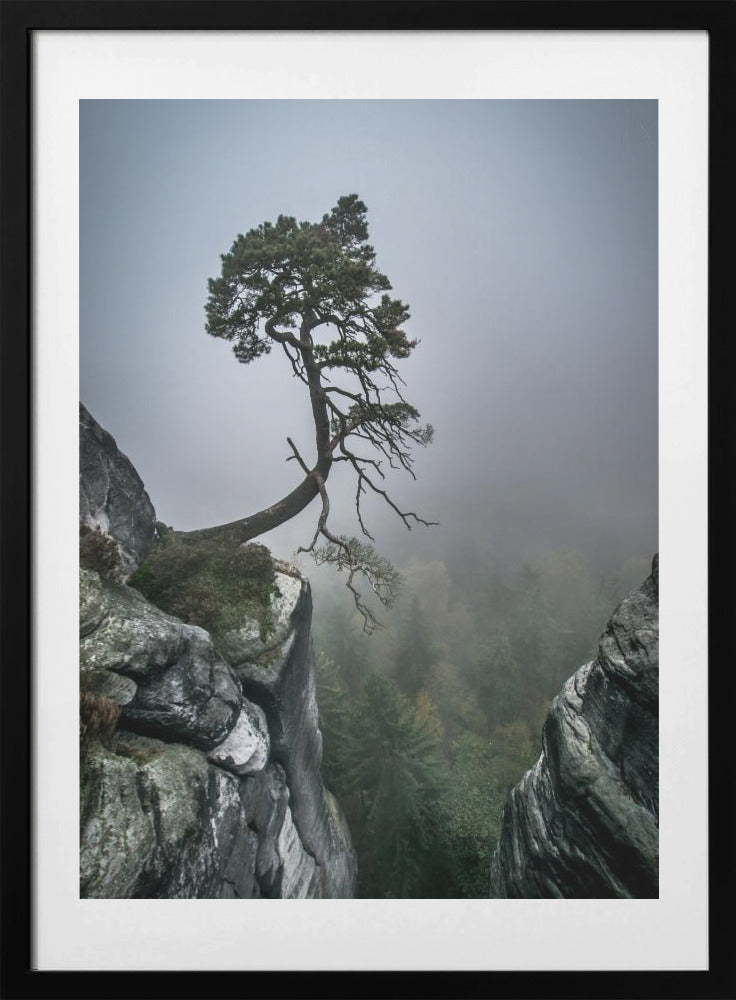 Against the Odds - Art Print by Andreas Wonisch