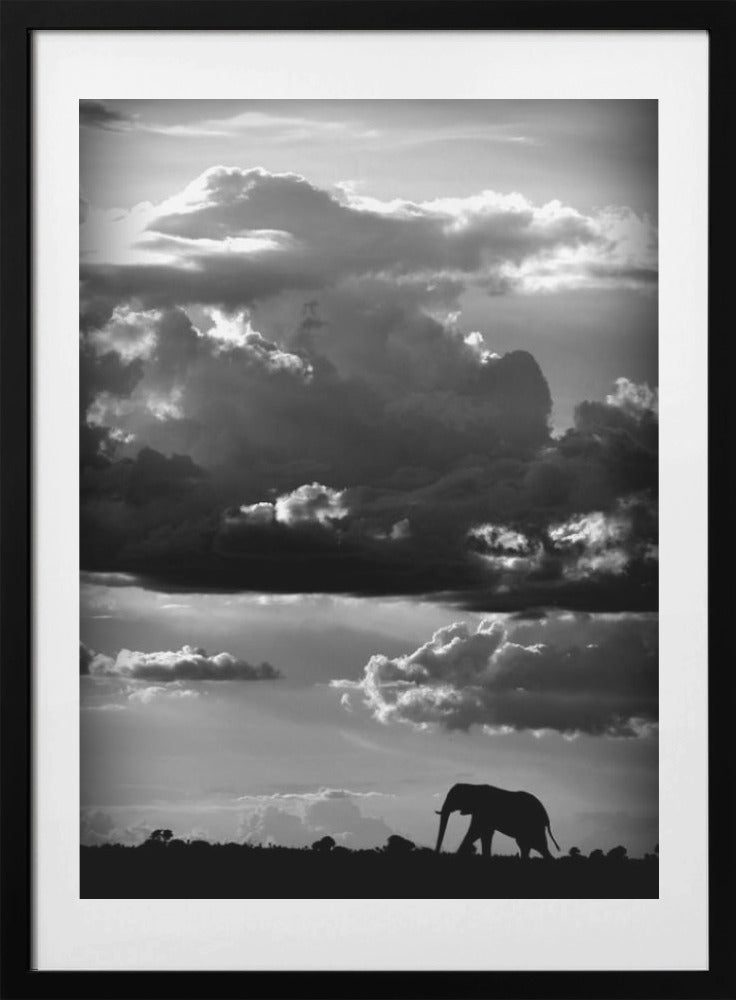 He walks under an African Sky - Art Print by WildPhotoArt