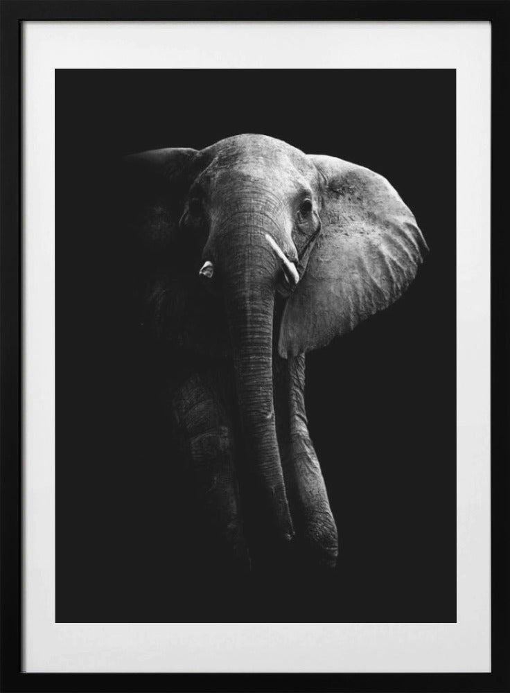 Elephant! - Art Print by WildPhotoArt