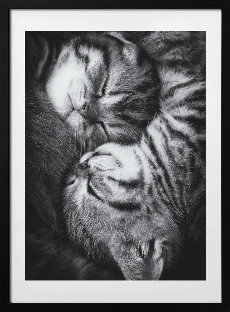 Yin and Yang - Art Print by Andrea Jancova