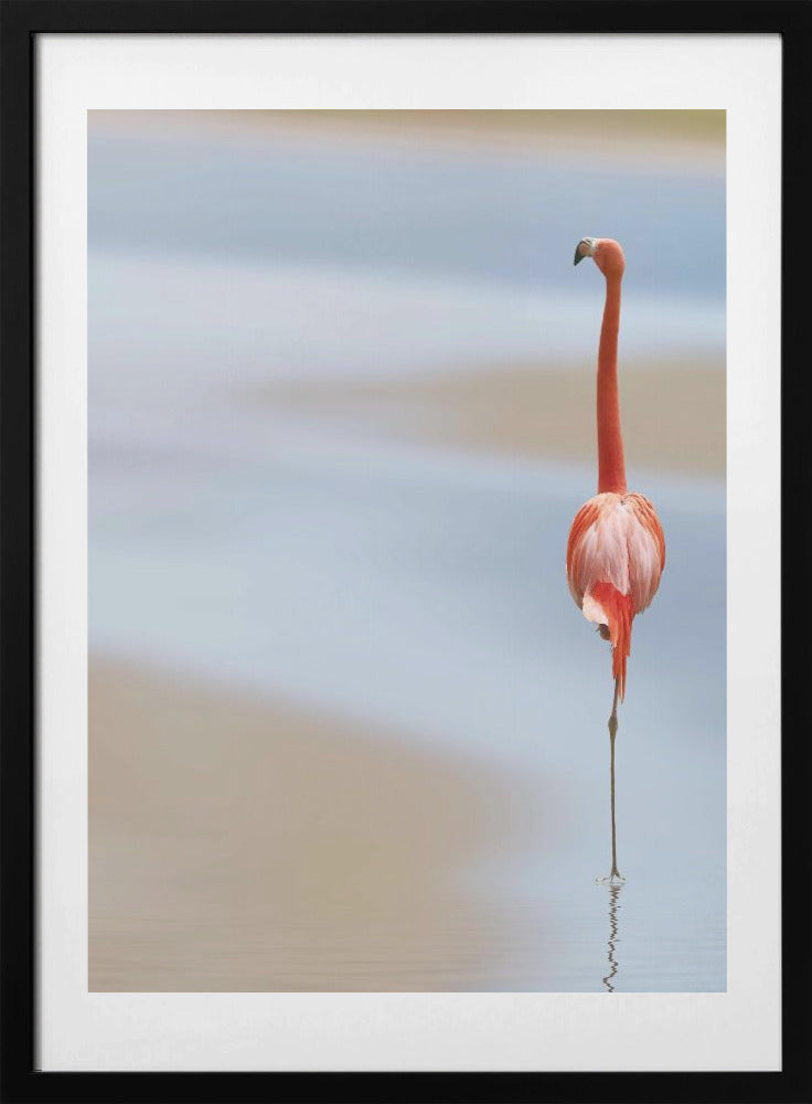 I - Art Print by Anna Cseresnjes