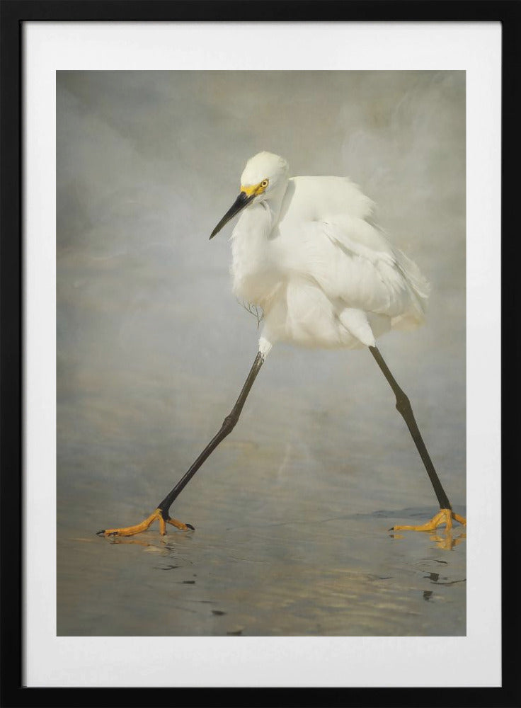 The Rock Star - Art Print by Alfred Forns