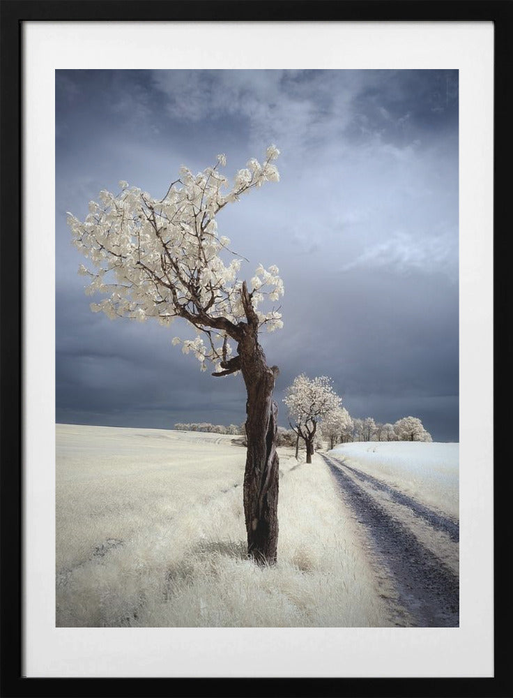 IRenka - Art Print by Piotr Krol (Bax)