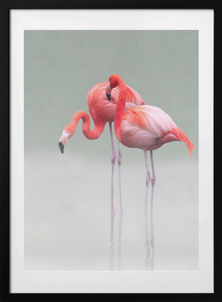 Just We Two - Art Print by Anna Cseresnjes