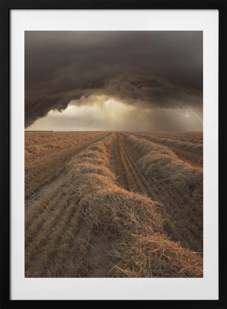 Untitled - Art Print by Nicolas Schumacher