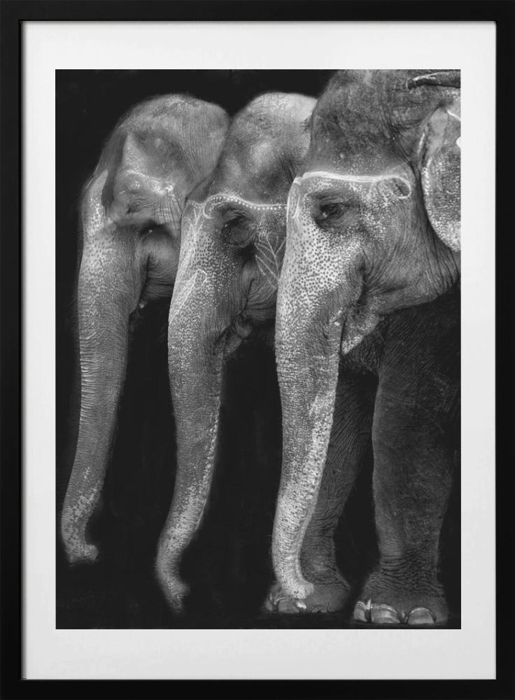 Nature's great masterpiece, an elephant - Art Print by Yvette Depaepe