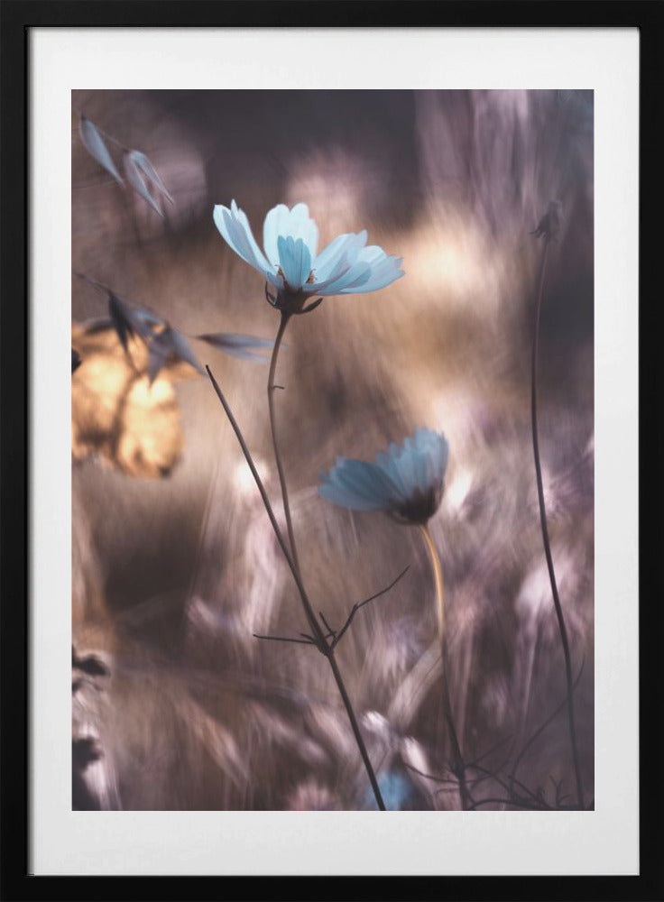 Lueur d'Automne - Art Print by Fabien BRAVIN