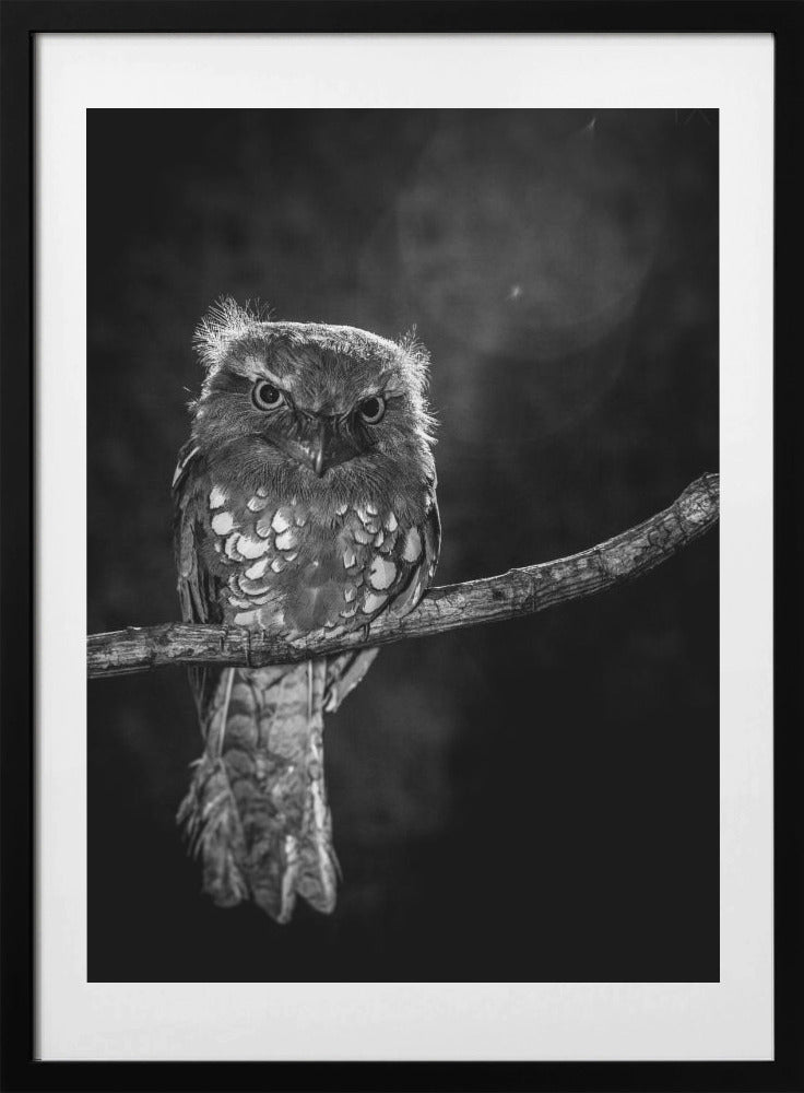 Alone in the night - Art Print by wilianto