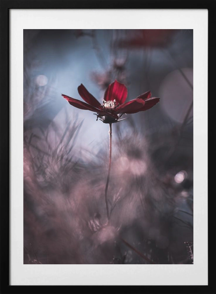 Tenue de soirée - Art Print by Fabien BRAVIN