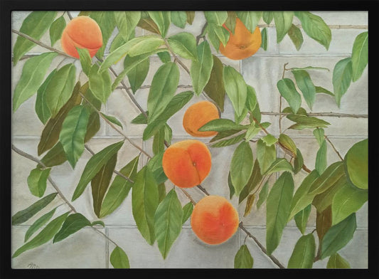 Peaches - Art Print by Angeles M. Pomata