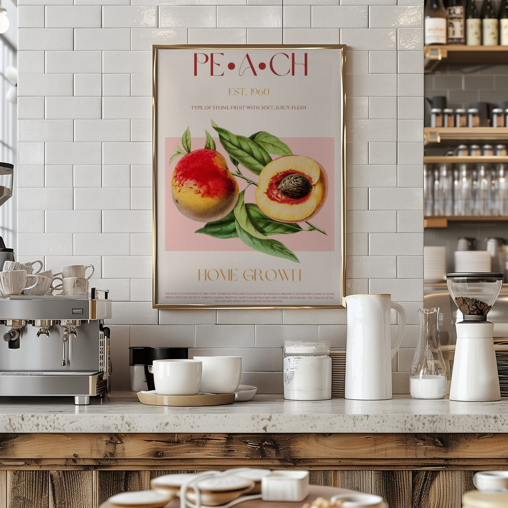 Vintage Style Peach Illustration - Art Print by Nazma Khokhar