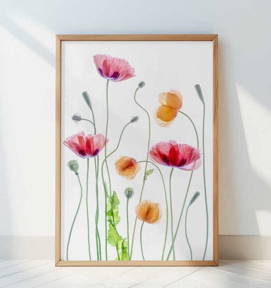 Poppies - Art Print by Mandy Disher