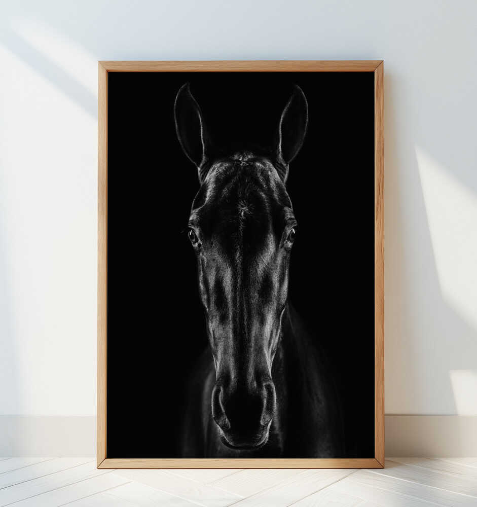 The Horse in Noir 15 - Art Print by Jackson Carvalho