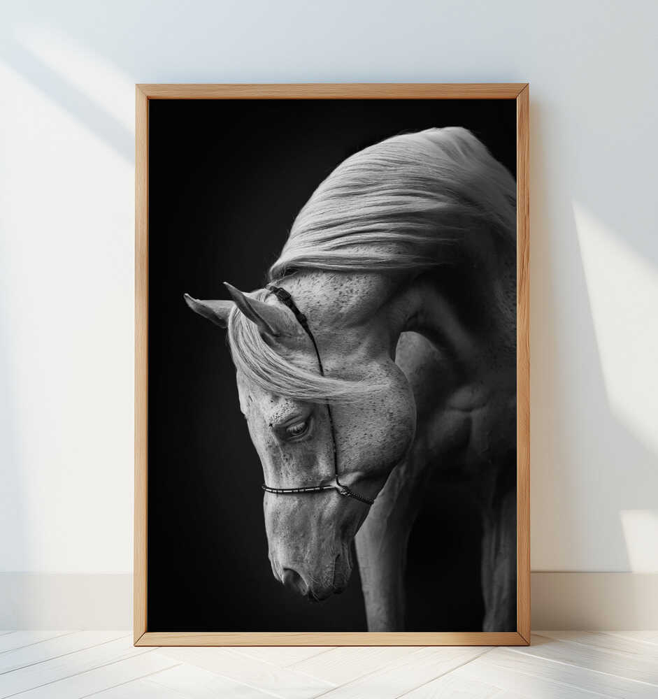 white stallion - Art Print by Ulrike Leinemann