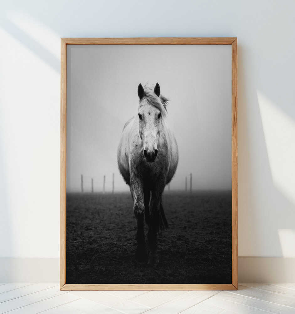 Confidence - Art Print by Christophe Staelens