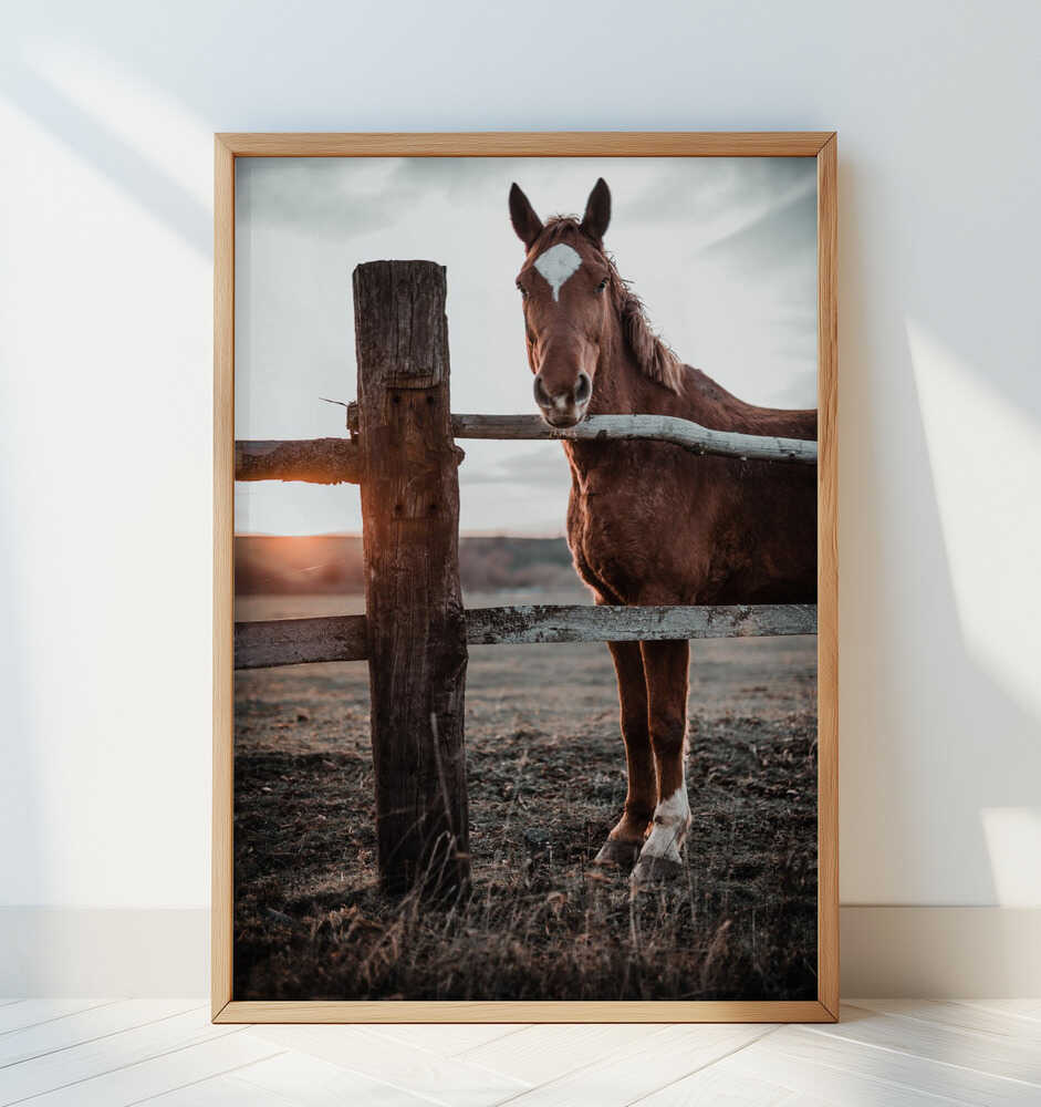 Horse Farm in Skároš, Slovakia - Art Print by Gabriel Jakab