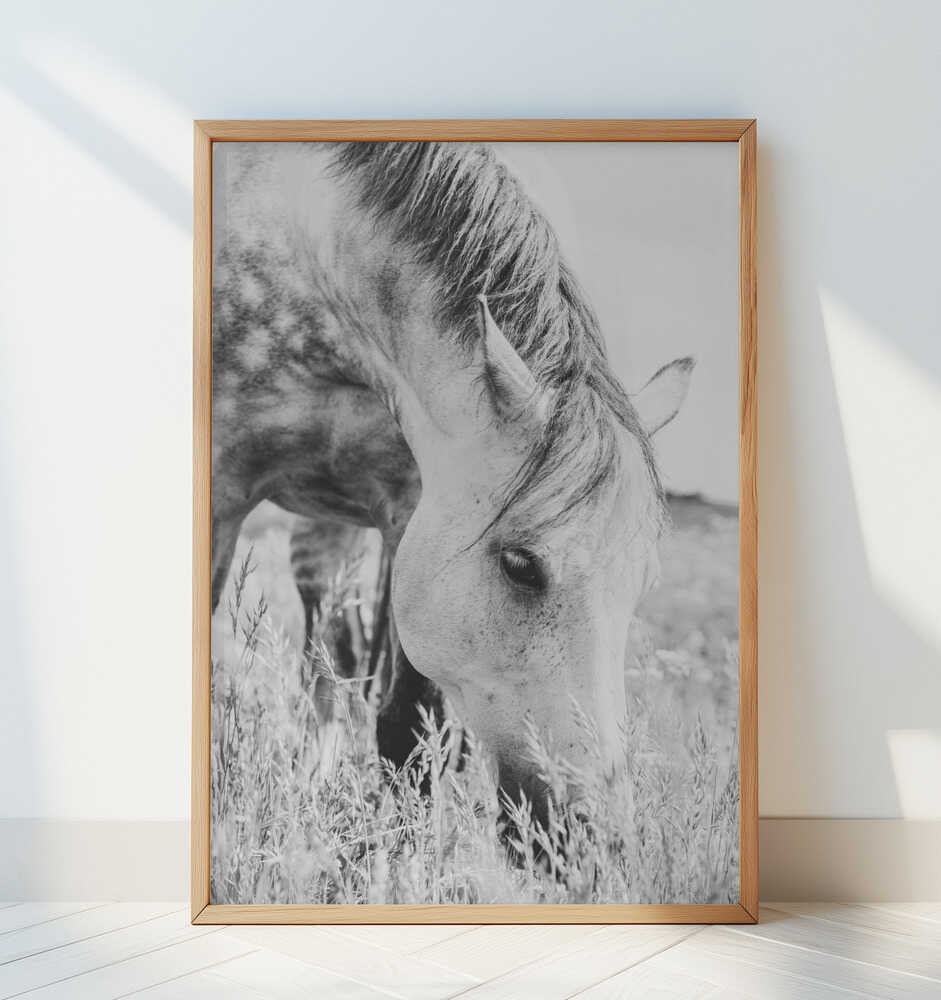 stallion - Art Print by Arendina de Jong