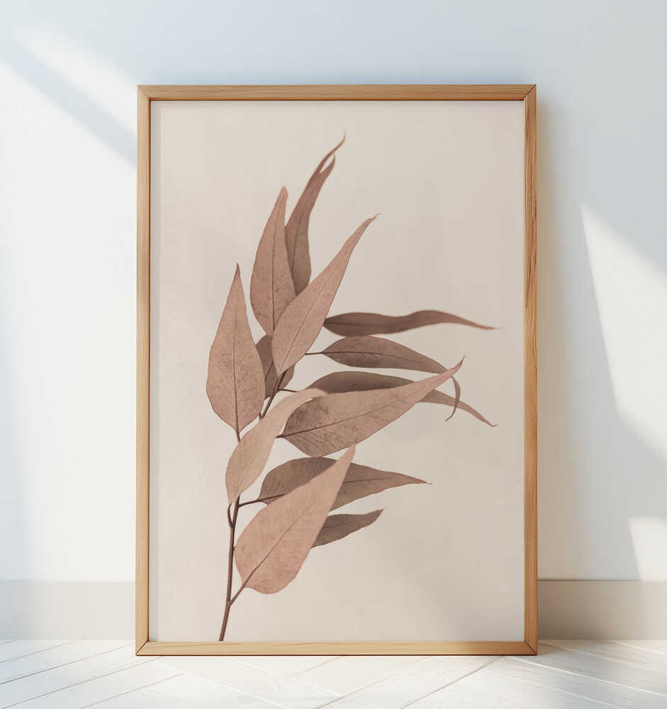 Dried Eucalyptus - Art Print by Kathrin Pienaar
