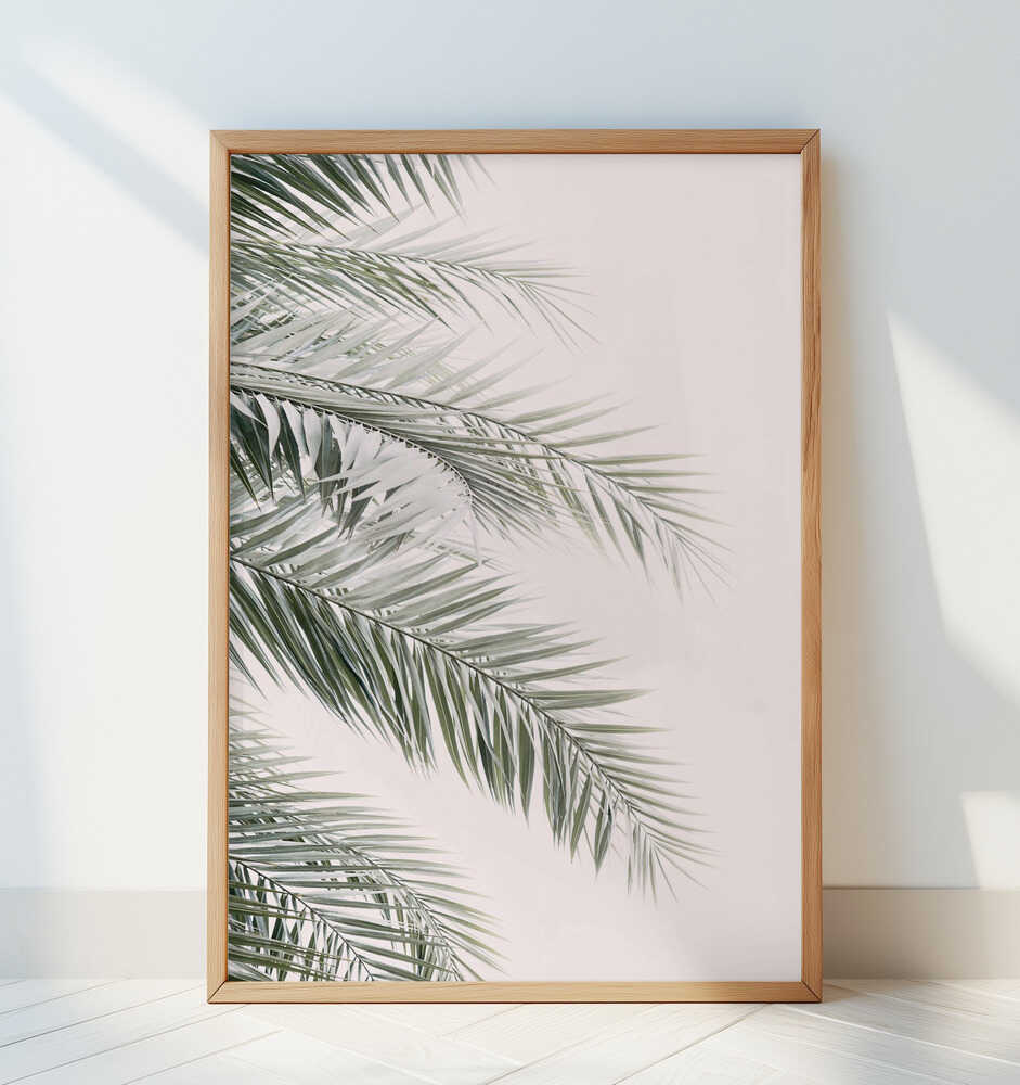 Blush Palm Leaves - Art Print by Kathrin Pienaar