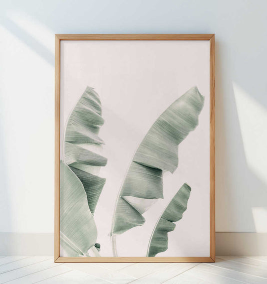 Blush Banana Leaves - Art Print by Kathrin Pienaar