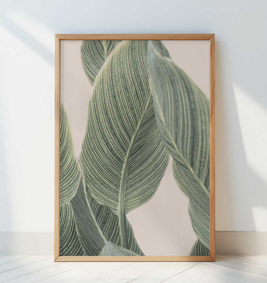 Calla Leaf - Art Print by Kathrin Pienaar