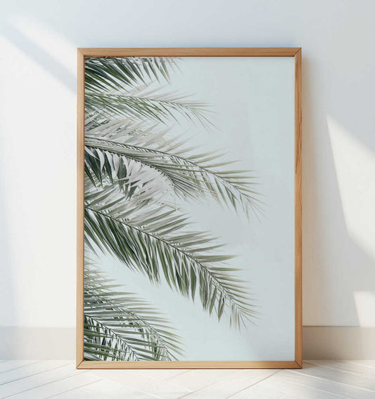 Blue Palms - Art Print by Kathrin Pienaar