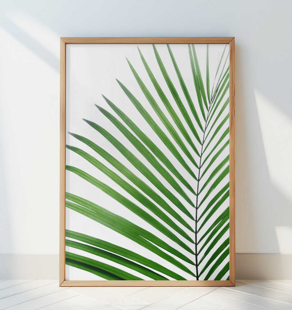 Green Palm Leaf - Art Print by Kathrin Pienaar