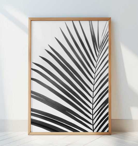 BW Palm Leaf - Art Print by Kathrin Pienaar